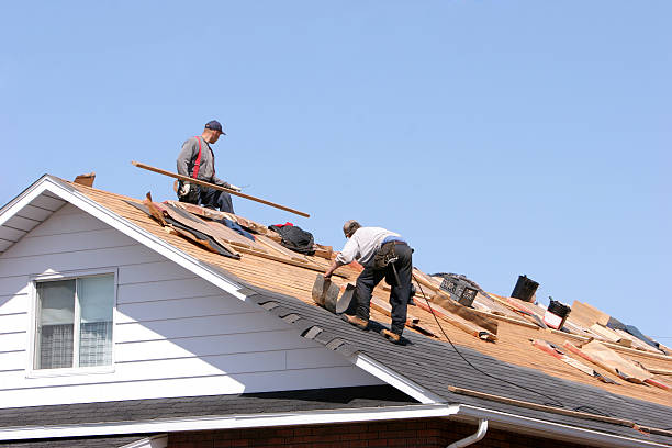 Best Slate Roofing  in Odem, TX